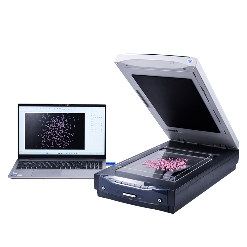 Rice Processing Accuracy Analyzer