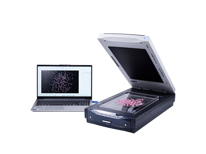 Rice Processing Accuracy Detector |Automated Milling Precision Analysis​